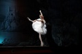 Фото Лебединое озеро (Санкт-Петербургский театр балета им. П.И. Чайковского)